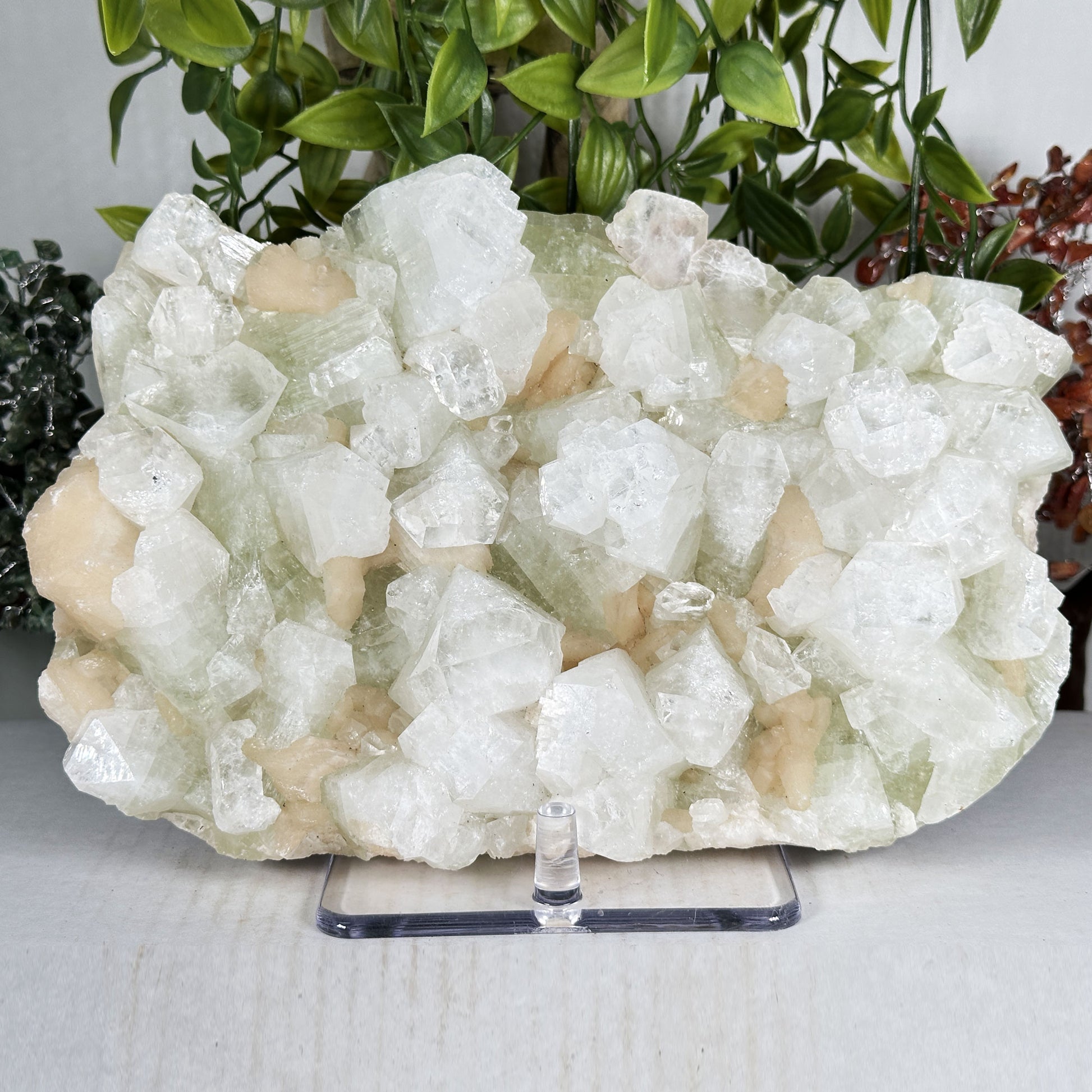 Green Apophyllite with Stilbite Crystal Mineral Specimen - Gem Avenue Retail