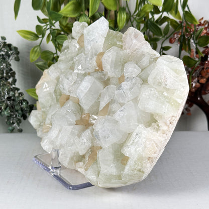 Green Apophyllite with Stilbite Crystal Mineral Specimen - Gem Avenue Retail