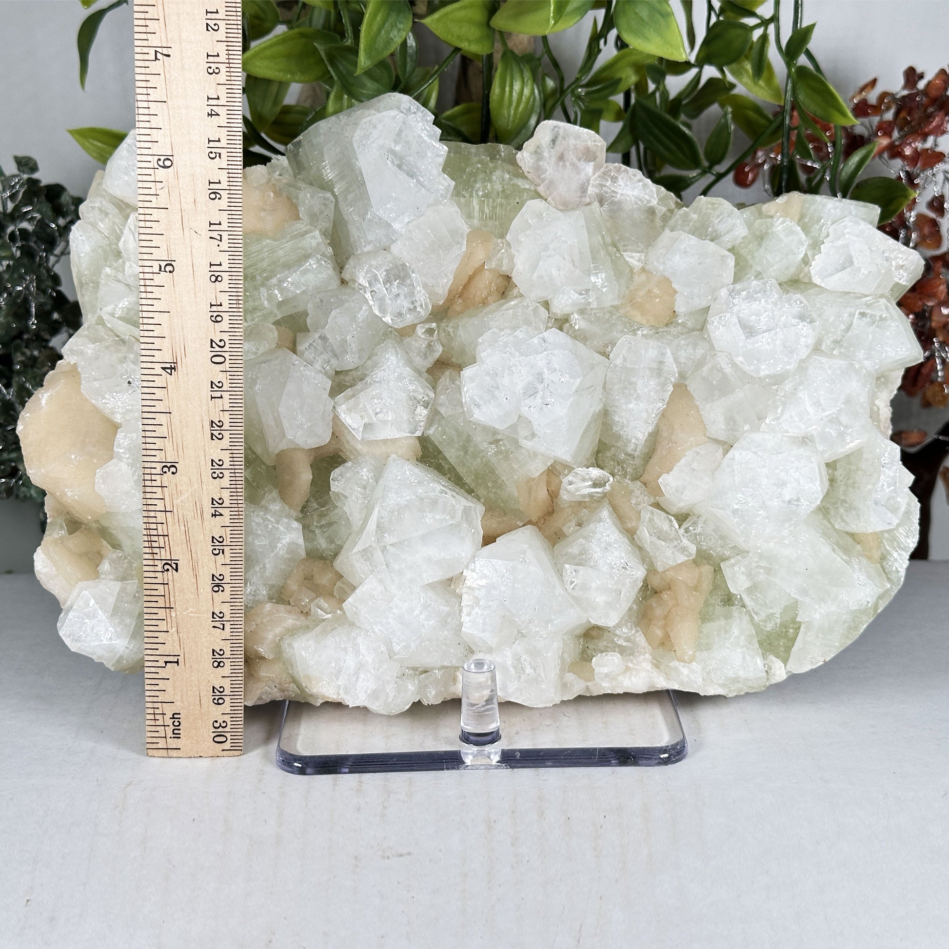 Green Apophyllite with Stilbite Crystal Mineral Specimen - Gem Avenue Retail