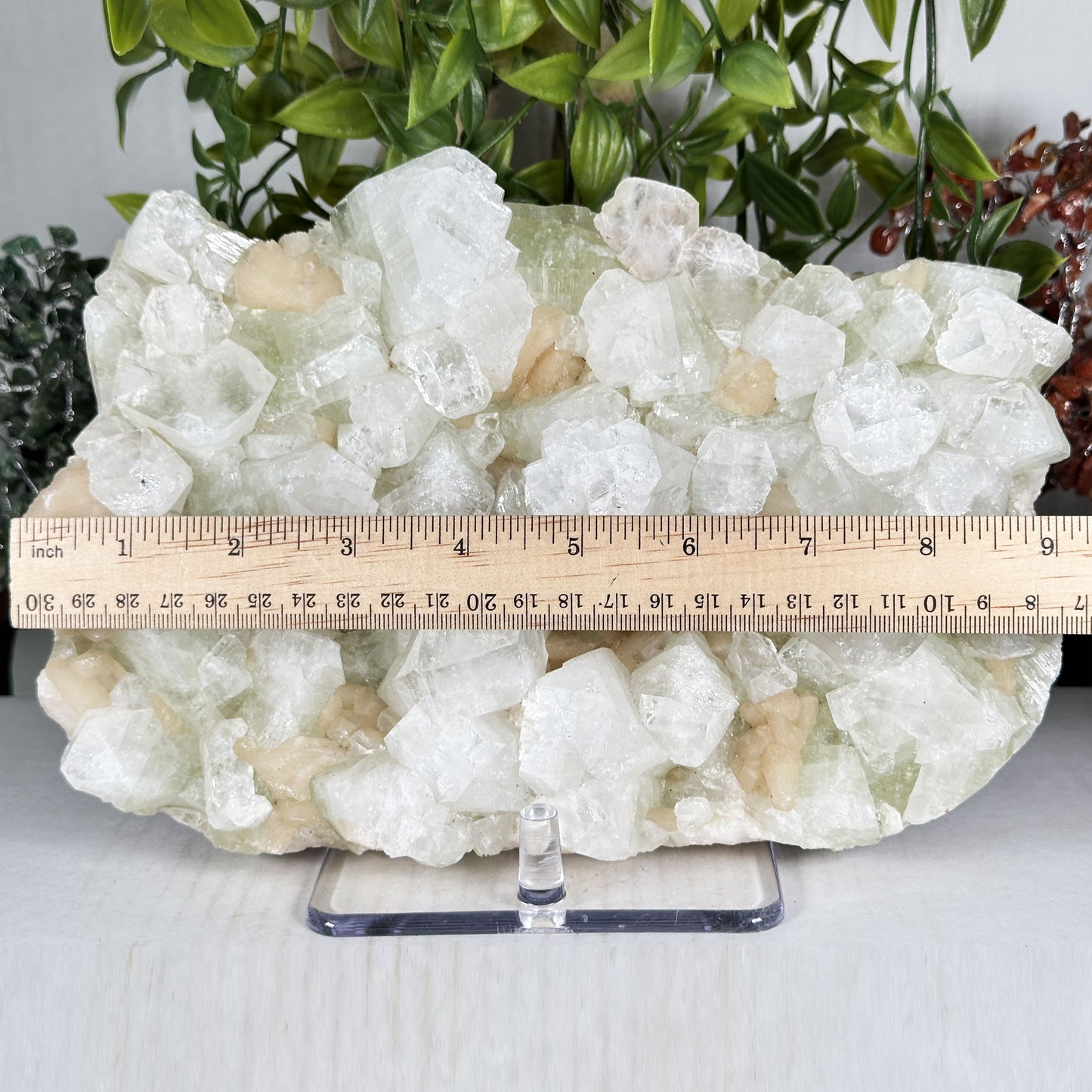 Green Apophyllite with Stilbite Crystal Mineral Specimen - Gem Avenue Retail