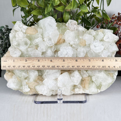 Green Apophyllite with Stilbite Crystal Mineral Specimen - Gem Avenue Retail