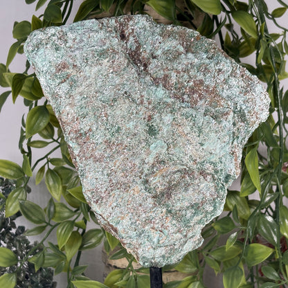 Fuchsite Green Mineral Specimen - Gem Avenue Retail