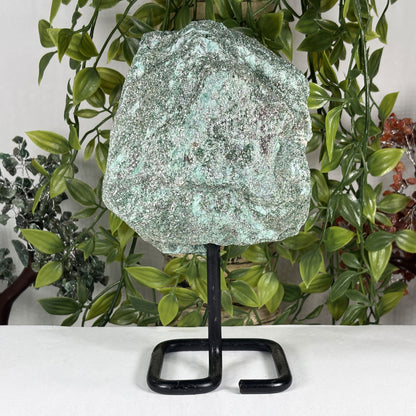Fuchsite Green Mineral Specimen - Gem Avenue Retail