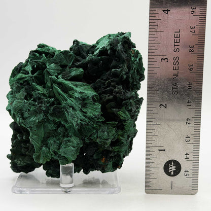 Malachite Mineral Specimen - Gem Avenue Retail