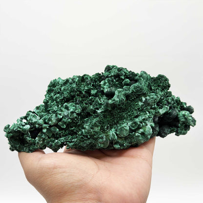 Malachite Mineral Specimen - Gem Avenue Retail