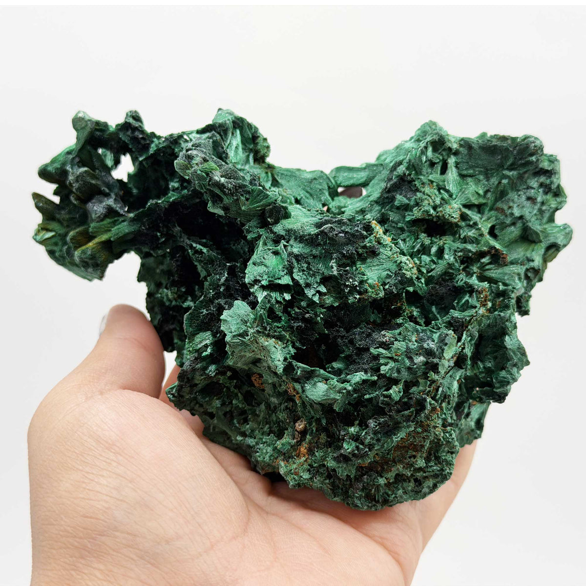 Malachite Mineral Specimen - Gem Avenue Retail
