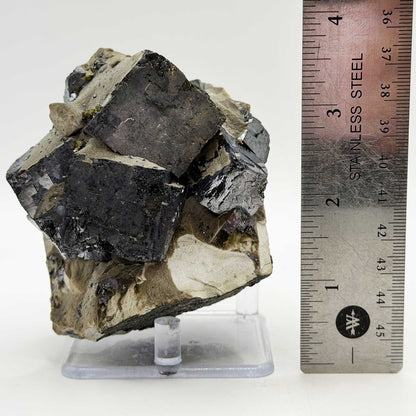 Natural Galena Mineral Specimen - Gem Avenue Retail