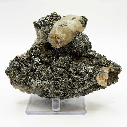 Natural Marcasite Mineral Specimen USA - Gem Avenue Retail