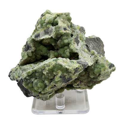 Wavellite Mineral Specimen - Gem Avenue Retail