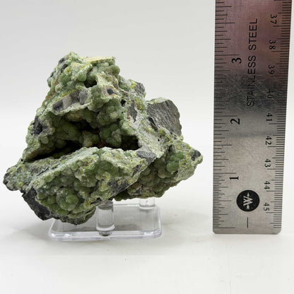 Wavellite Mineral Specimen - Gem Avenue Retail