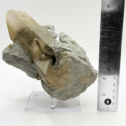 Barite Mineral Specimen - Gem Avenue Retail