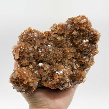 Aragonite Mineral Specimen - Gem Avenue Retail