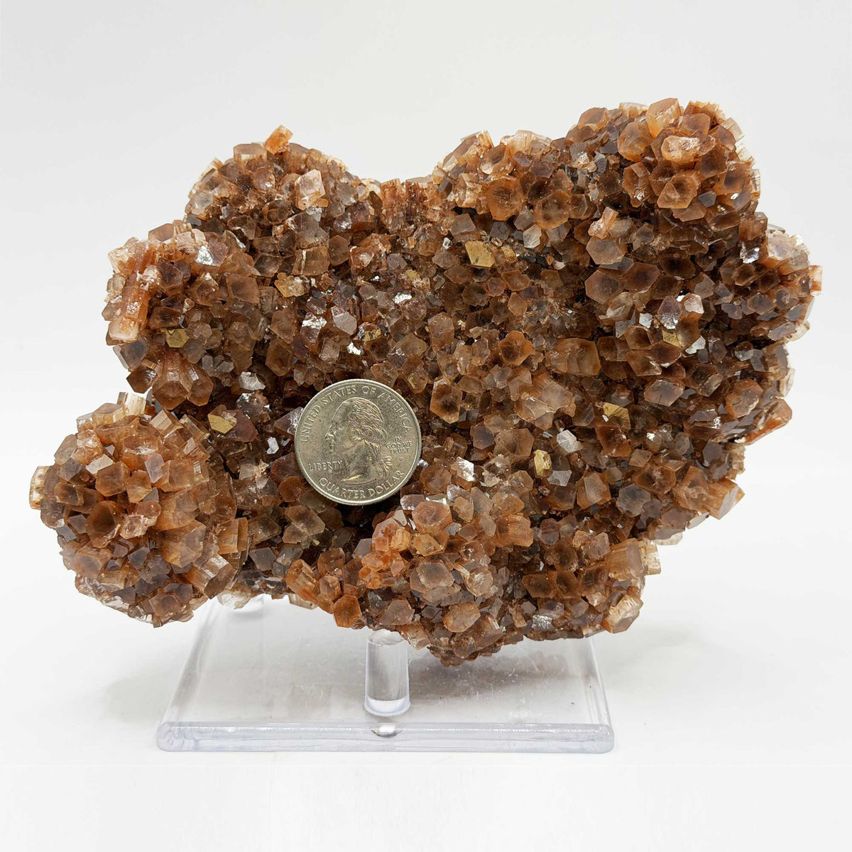 Aragonite Mineral Specimen - Gem Avenue Retail
