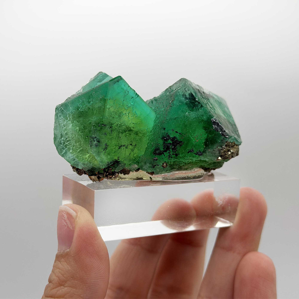 Natural Green Fluorite with Pyrite Mineral Specimen - Gem Avenue Retail