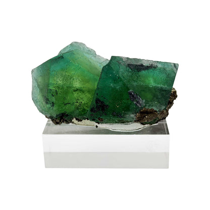 Natural Green Fluorite with Pyrite Mineral Specimen - Gem Avenue Retail