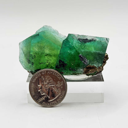 Natural Green Fluorite with Pyrite Mineral Specimen - Gem Avenue Retail