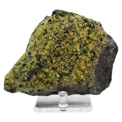 Natural Green Peridot Mineral Specimen - Gem Avenue Retail