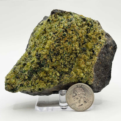 Natural Green Peridot Mineral Specimen - Gem Avenue Retail