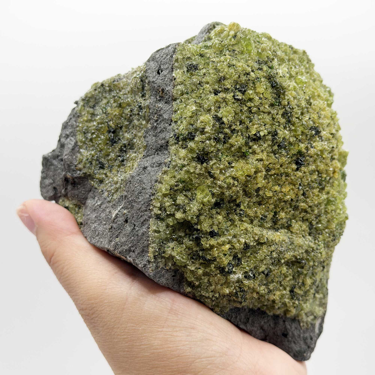 Natural Green Peridot Mineral Specimen - Gem Avenue Retail