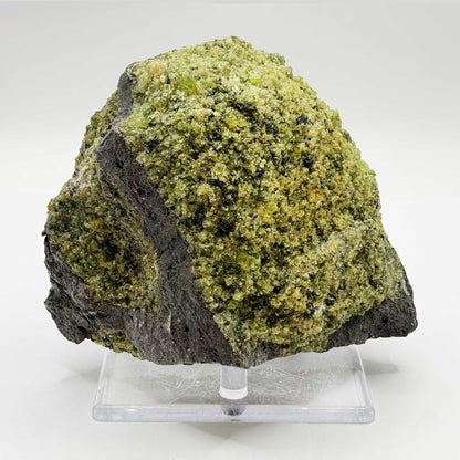 Natural Green Peridot Mineral Specimen - Gem Avenue Retail