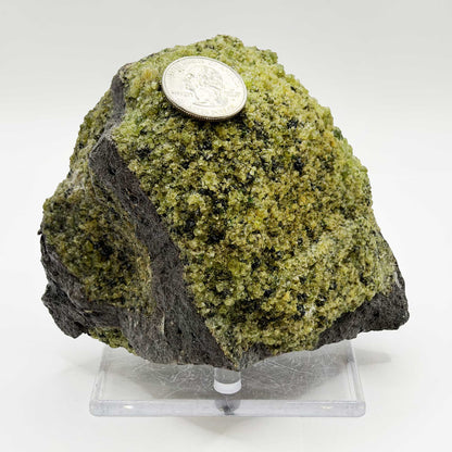 Natural Green Peridot Mineral Specimen - Gem Avenue Retail