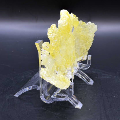 Brucite Mineral Specimen - Gem Avenue Retail