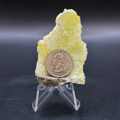 Brucite Crystal Mineral Specimen  - Gem Avenue Retail