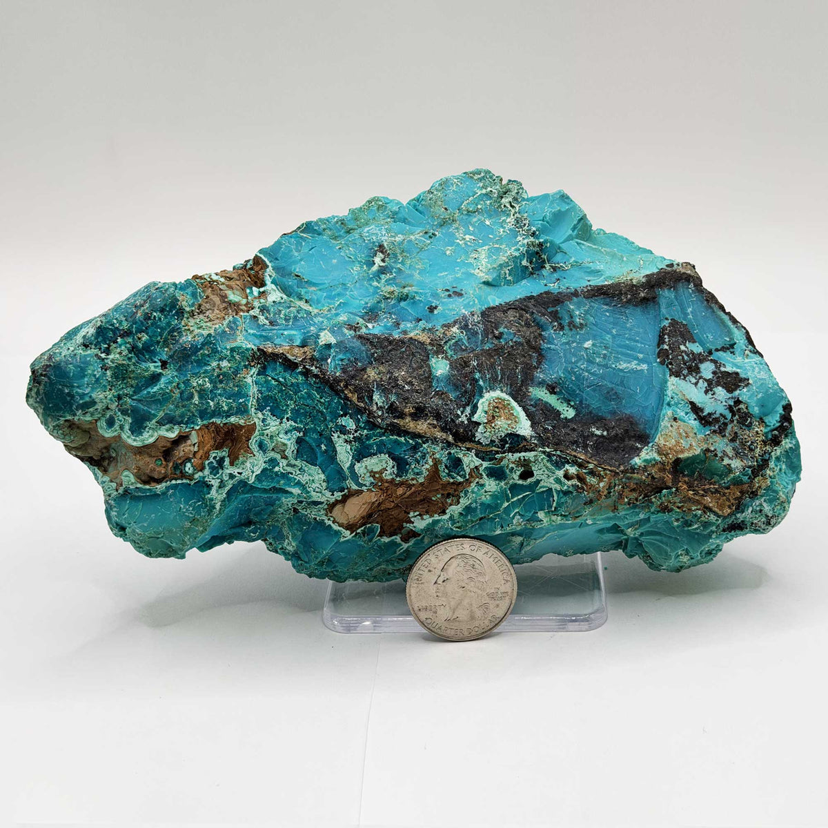 Chrysocolla Mineral Specimen - Gem Avenue Retail