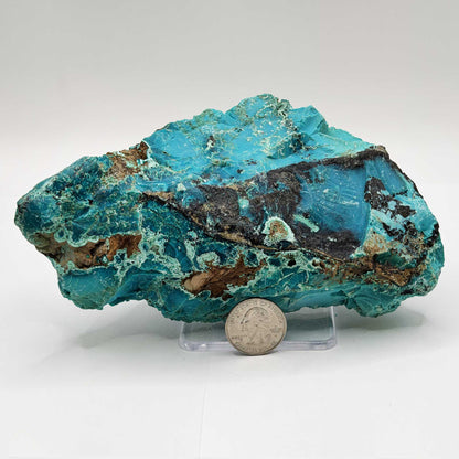 Chrysocolla Mineral Specimen - Gem Avenue Retail