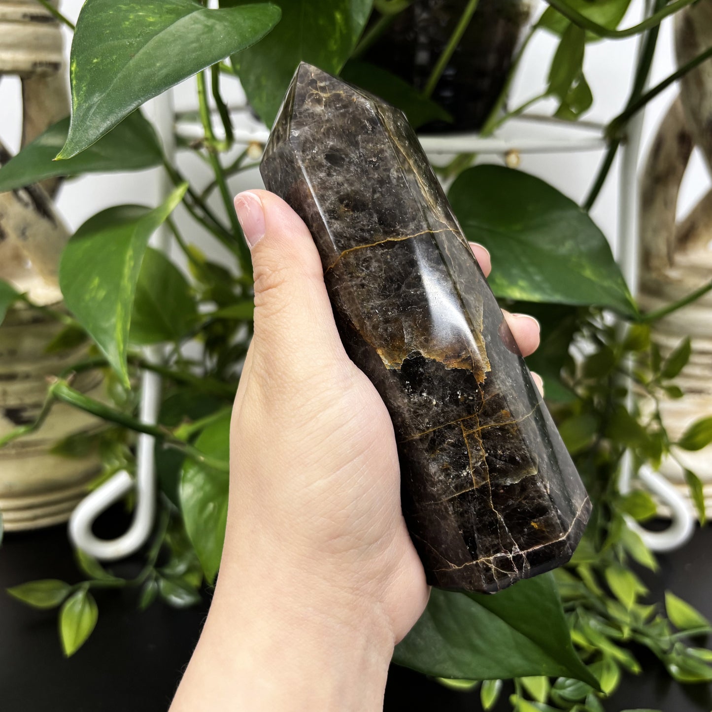 Natural Black Moonstone Crystal Obelisk Tower Grounding & Intuition Healing Stone for Meditation and Energy Work - RPO484