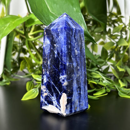 Sodalite Crystal Gemstone Obelisk Tower Point - Gem Avenue