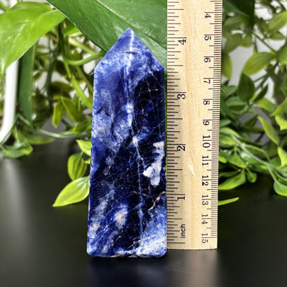 Sodalite Crystal Gemstone Obelisk Tower Point - Gem Avenue