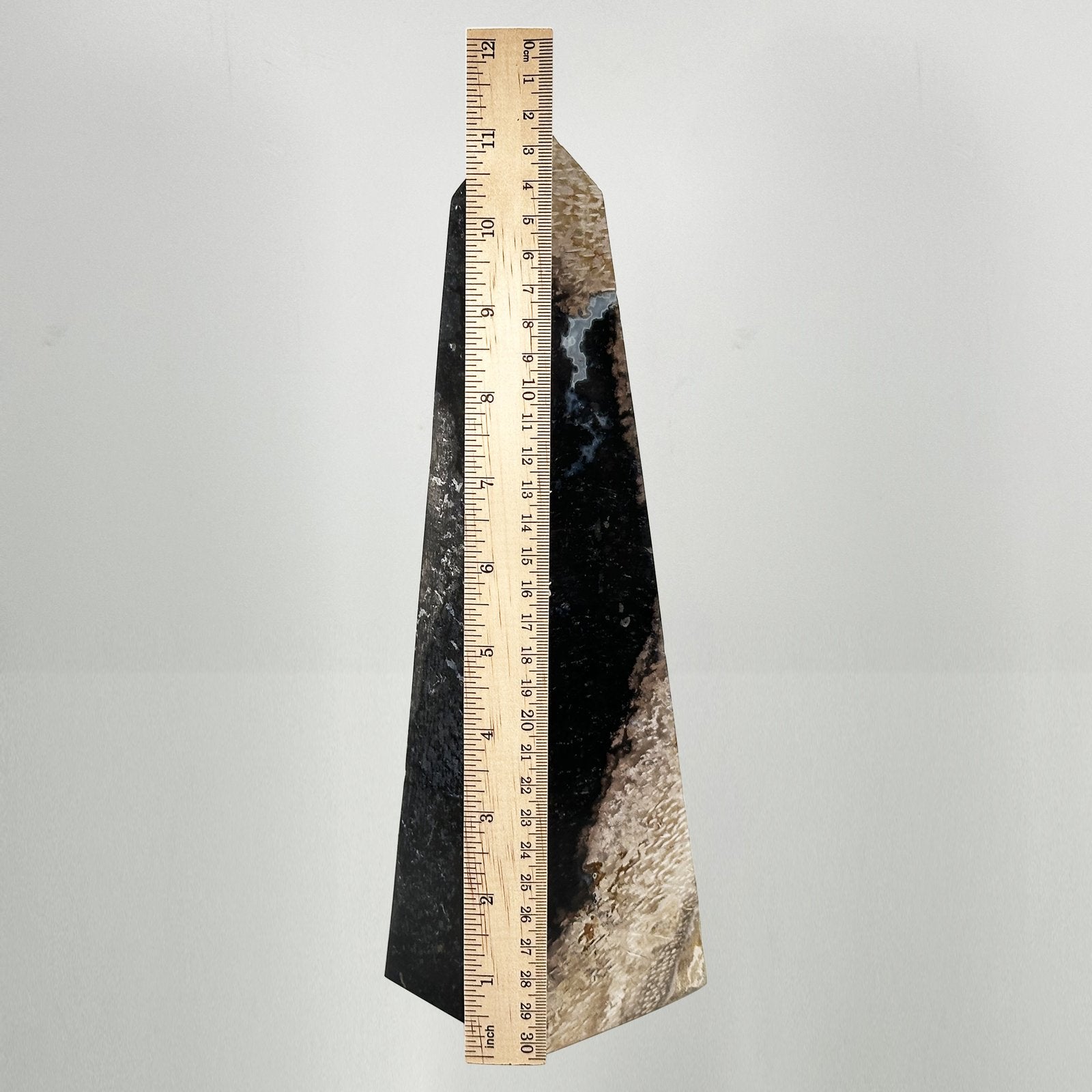 Natural Palm Root Polished Tower - Gem Avenue