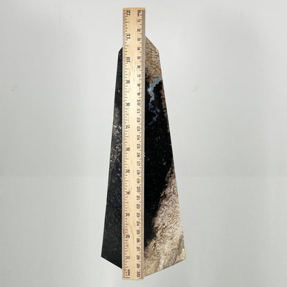 Natural Palm Root Polished Tower - Gem Avenue