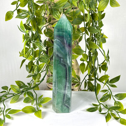 Natural Fluorite Crystal Tower Point Green & Purple Banded Healing Stone - RPO524