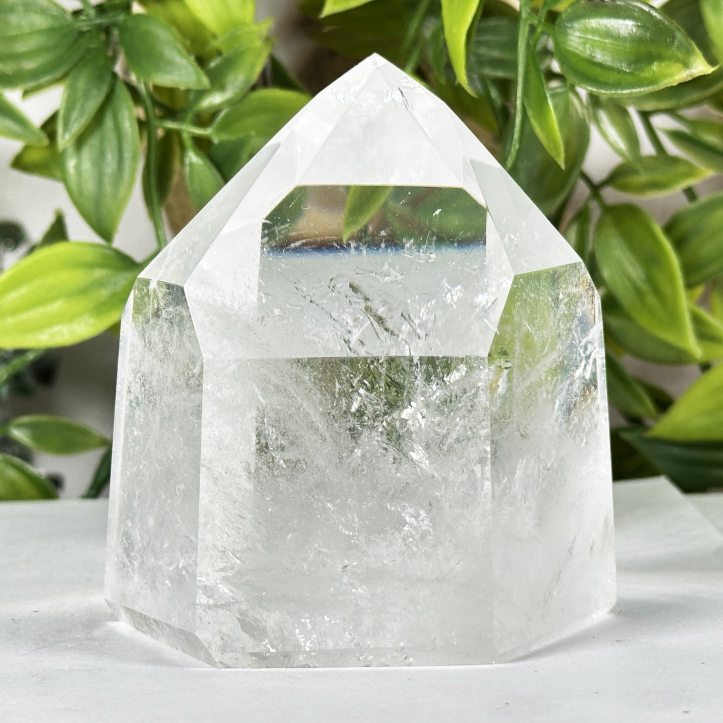 Clear Quartz Crystal Point - Gem Avenue