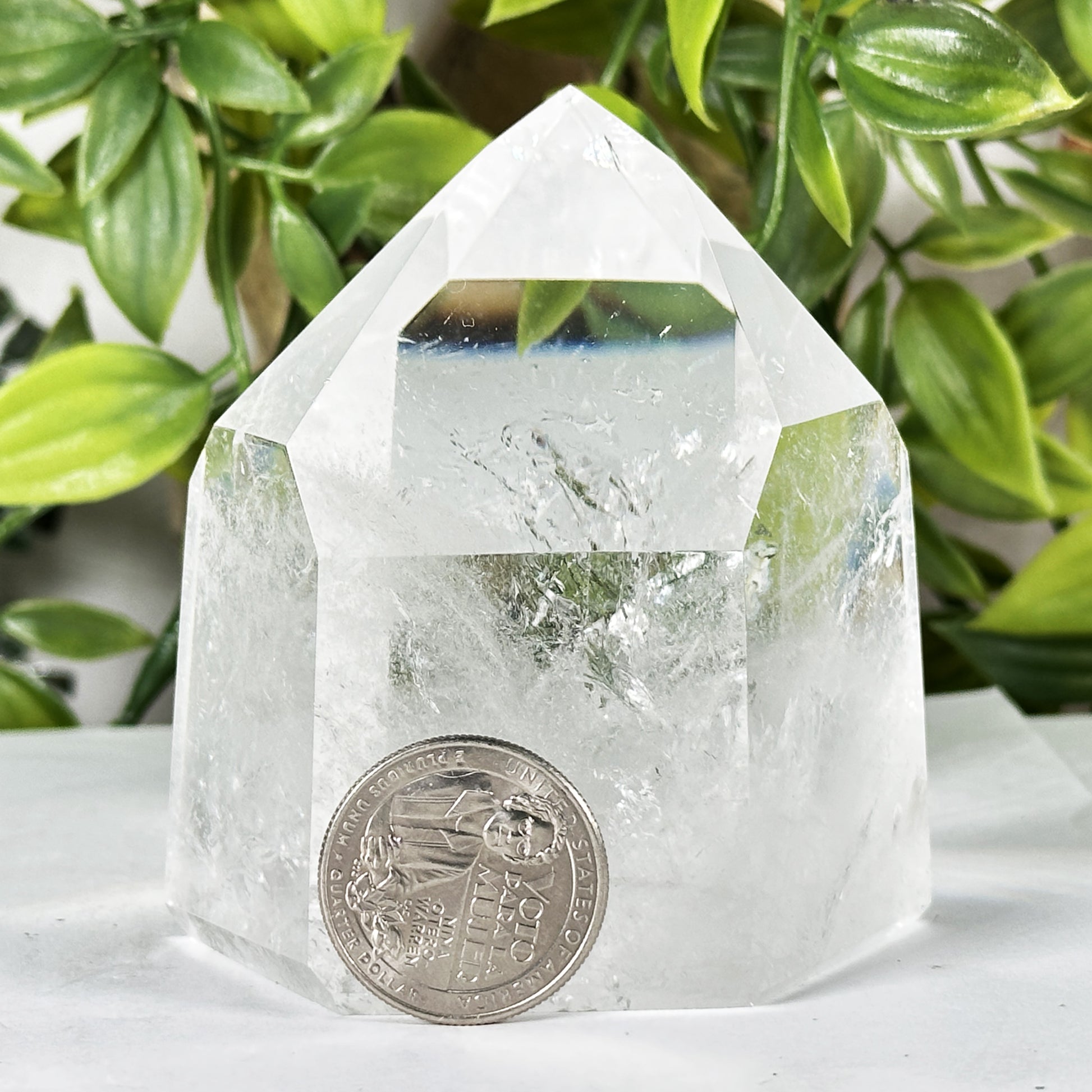 Clear Quartz Crystal Point - Gem Avenue
