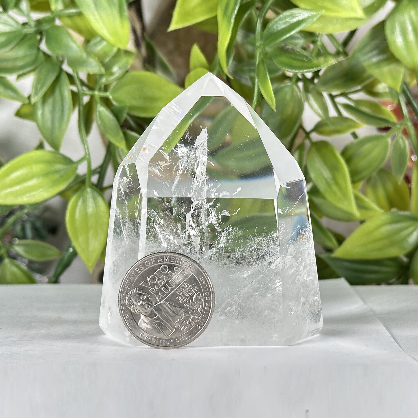 Natural Clear Quartz Crystal Point - Gem Avenue