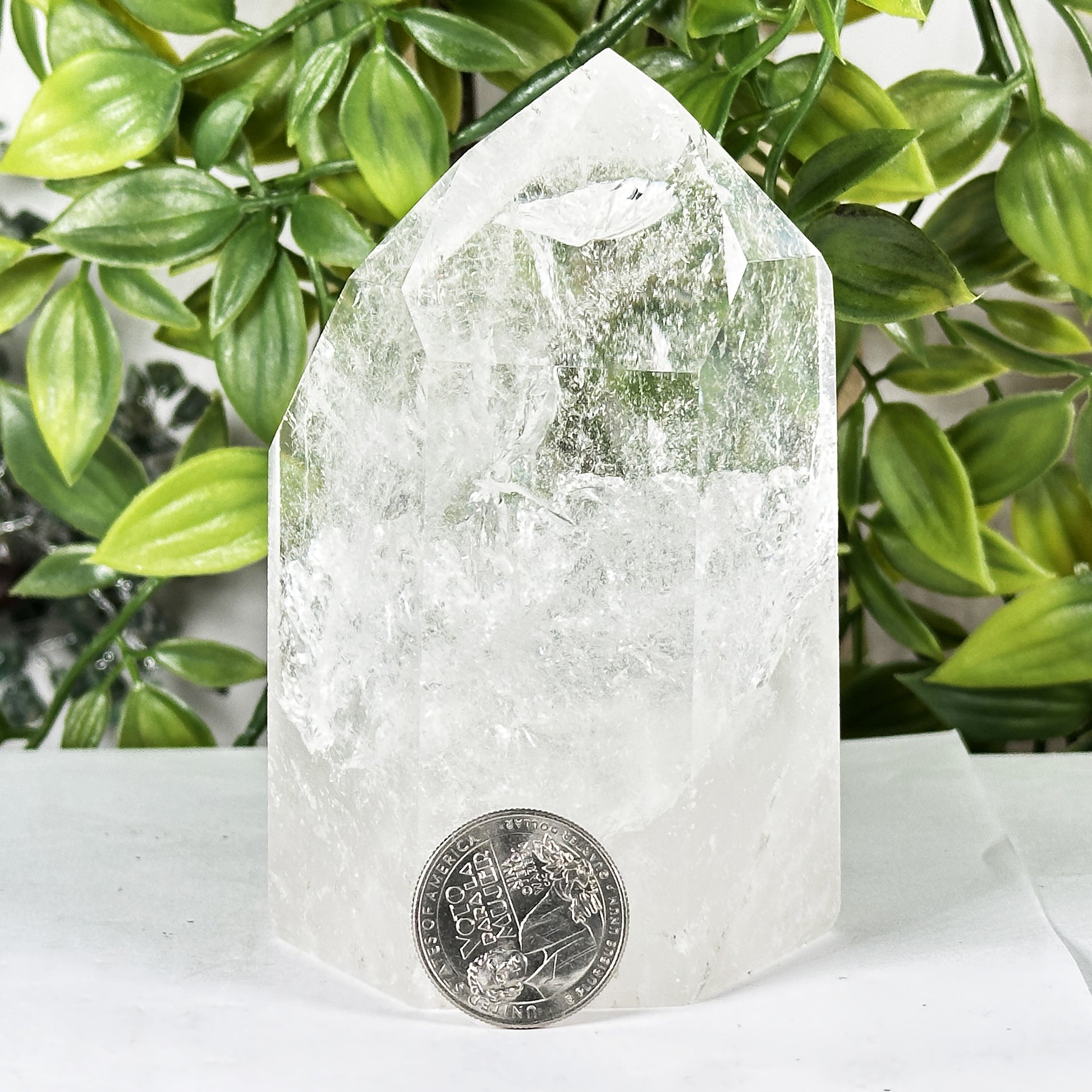 Clear Quartz Crystal Point - Gem Avenue Retail