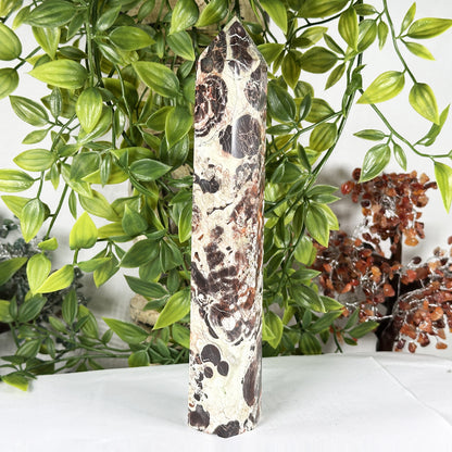 Natural Money Agate Crystal Obelisk Tower - Gem Avenue Retail