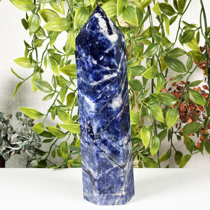 Natural Polished Sodalite Crystal Tower - Gem Avenue Retail