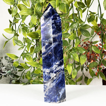 Natural Polished Sodalite Crystal Tower - Gem Avenue Retail