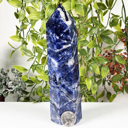 Natural Polished Sodalite Crystal Tower - Gem Avenue Retail