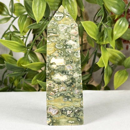 Rainforest Jasper Crystal Point Tower - Gem Avenue Retail