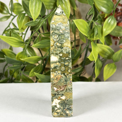 Rainforest Jasper Crystal Point Tower - Gem Avenue Retail