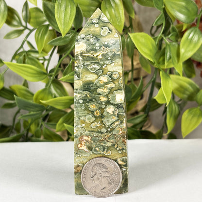 Rainforest Jasper Crystal Point Tower - Gem Avenue Retail