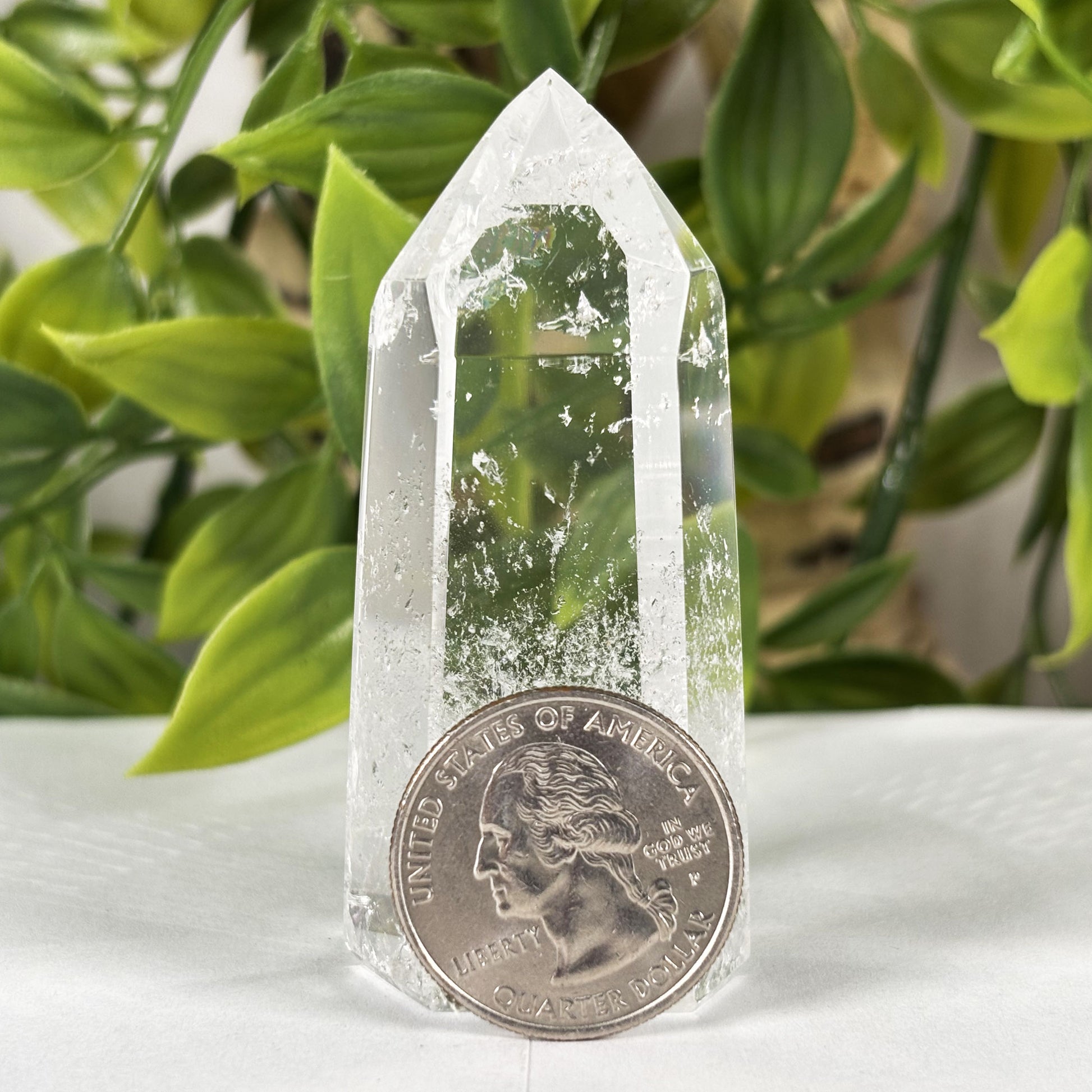 Clear Quartz Crystal Point - Gem Avenue Retail