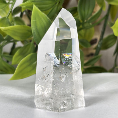 Clear Quartz Crystal Point - Gem Avenue Retail