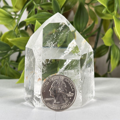 Clear Quartz Crystal Point - Gem Avenue Retail