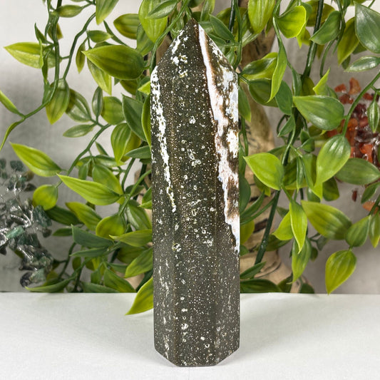 Natural Sea Jasper Crystal Point from Madagascar Polished Healing Stone Tower